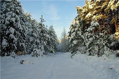 3DM游戏创作者招募啦，加入瓜分万元现金奖池！