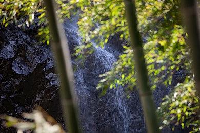 《战锤40K：暗潮》开启预购 正式版将于9月13日登陆PC和Xbox